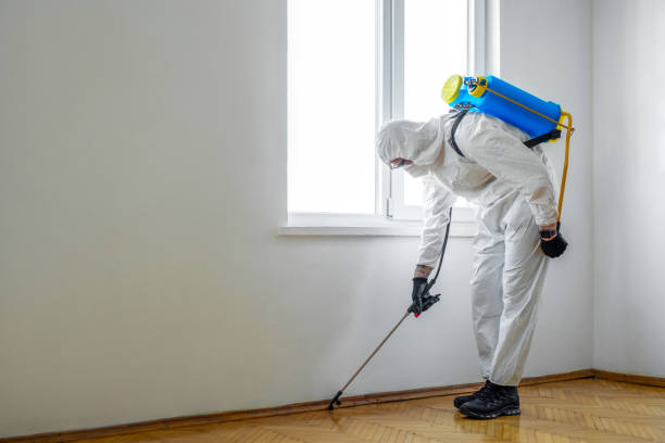 Best Pest Prevention Services  in Monroe, LA